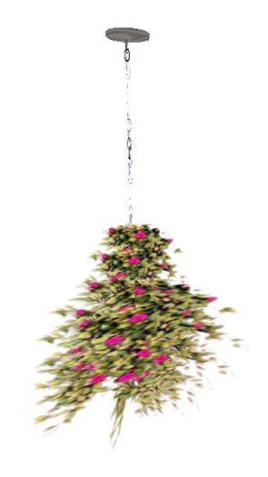  Hanging Basket 16