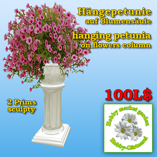 hanging petunia on flowers column