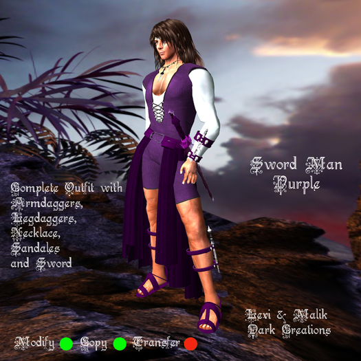 Sword Man Purple