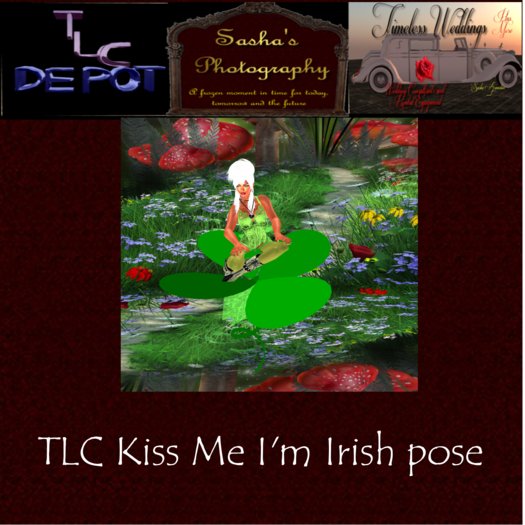 TLC Depot (box) Clover Leaf Sit pose& prop