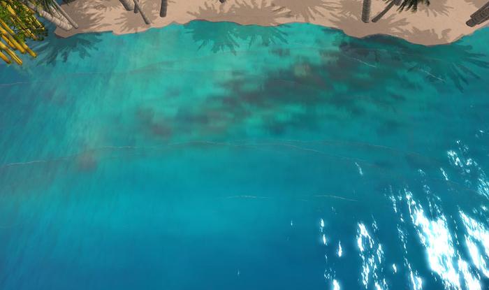 coral reef