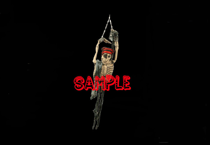 Hanging Pirate Torso (Flexi)