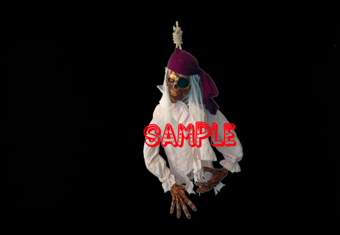 Hanged Pirate (Flexi)