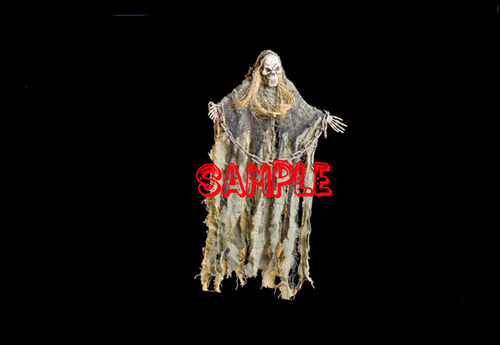 Skeleton Zombie w/Chain (Flexi)