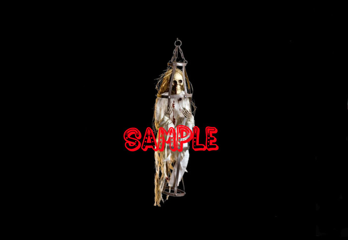 Caged Skeleton Corpse (Flexi)