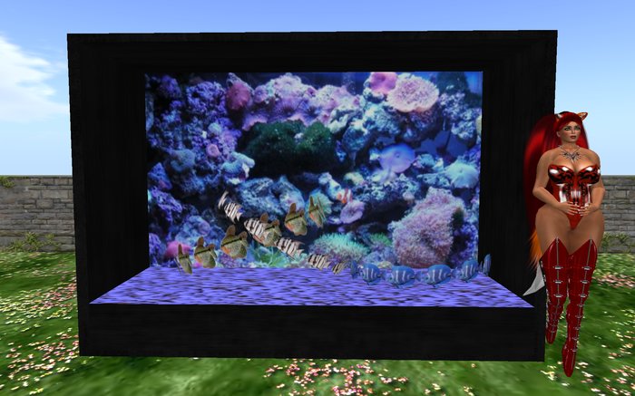 fish tank Large