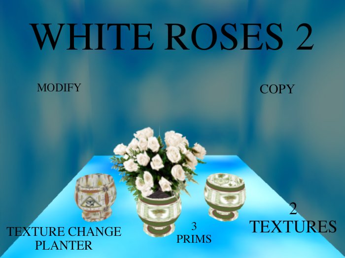 White Roses 2