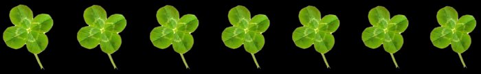 clover banner