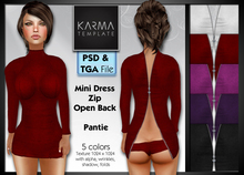 Karma Template - PSD & Tga - Mini Dress Zip Open Back & Pantie - 5 Colors - High detailled Texture 1024 px