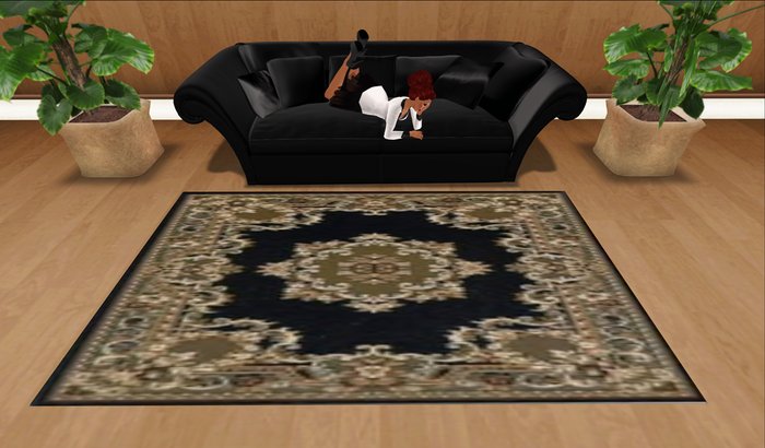 Chinese Aubusson Rug Black