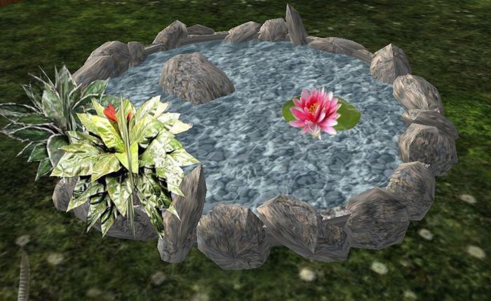garden pond