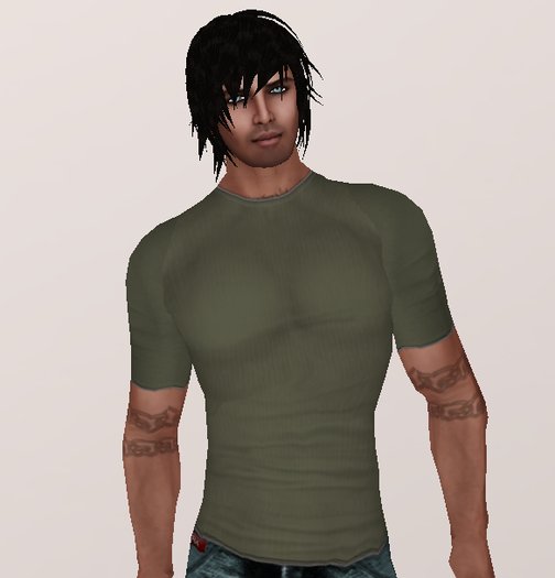 Army Green T Shirt (underpants/shirt layers)