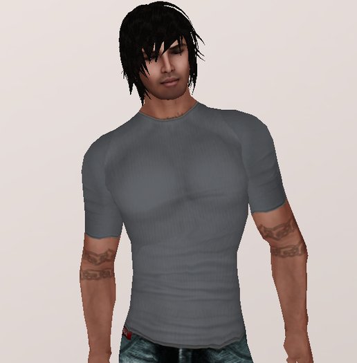 Grey Blue T Shirt (underpants/shiirt layers)