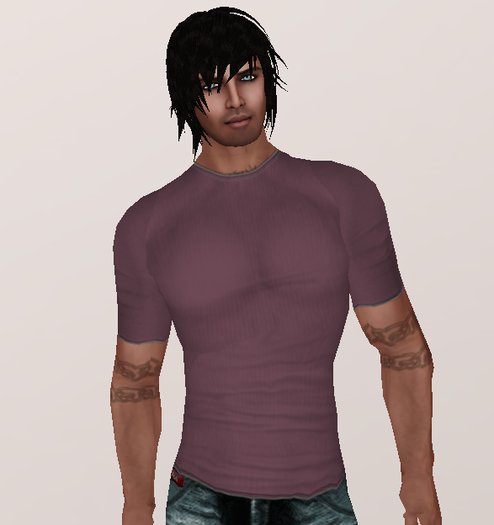 Dark Purple T Shirt (underpants/shirt layers)