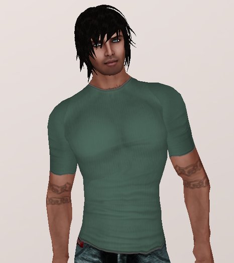 Teal T Shirt (underpants/shirt layer)