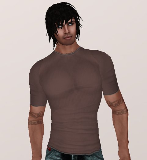 Light Brown T Shirt (underpants/shirt layers)