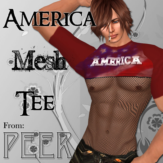 PEER America mesh Tee