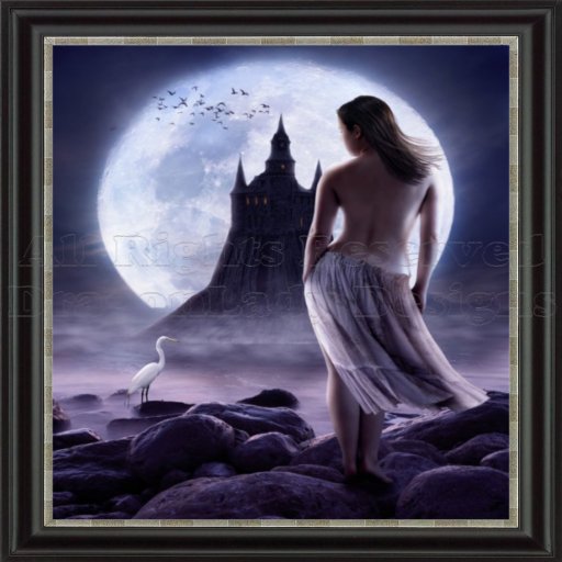 Castle in the Moonlight