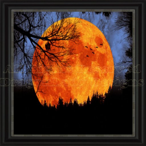 Harvest Moon