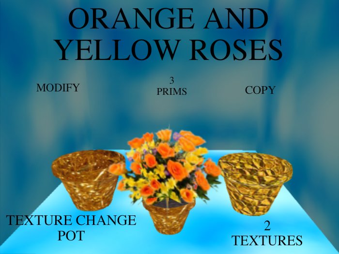 Orange and Yellow Roses