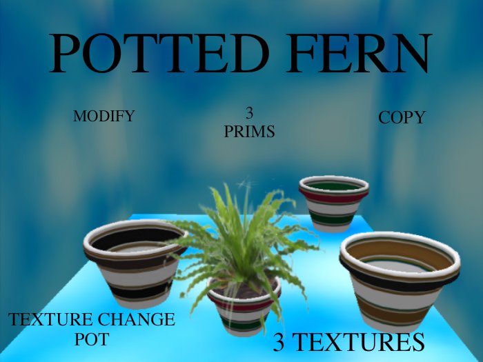 Potted Fern