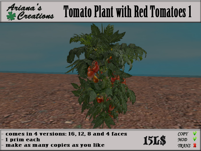Ariana's Creations-Tomato Plant With Red Tomatoes 1