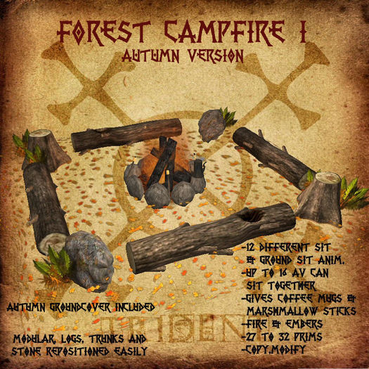 Forest Campfire I [Autumn]