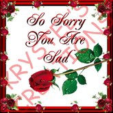 Sorry58 So Sorry You Are Sad (Wear Me)