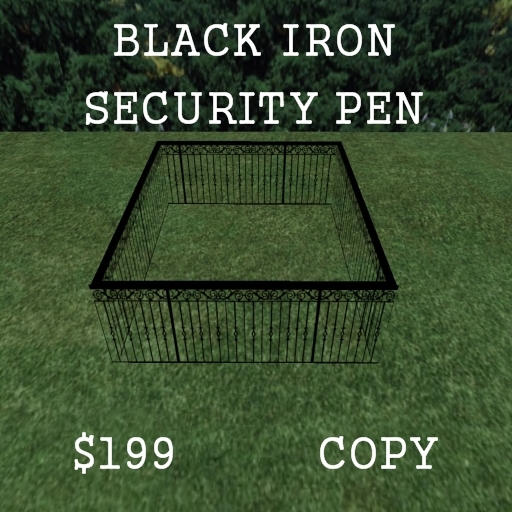 Black Iron Security Pen