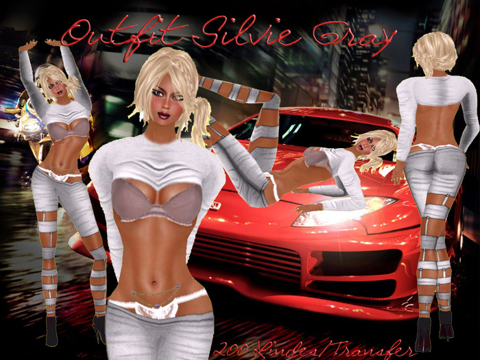 LSR - outfit silvie gray