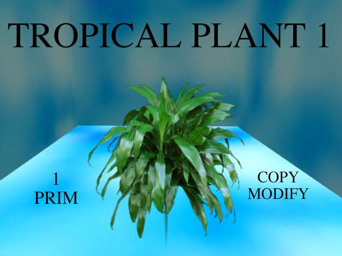 Tropical Plant 1