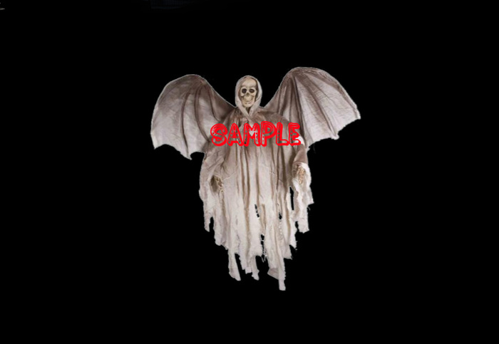 Winged Grim Reaper (Flexi)
