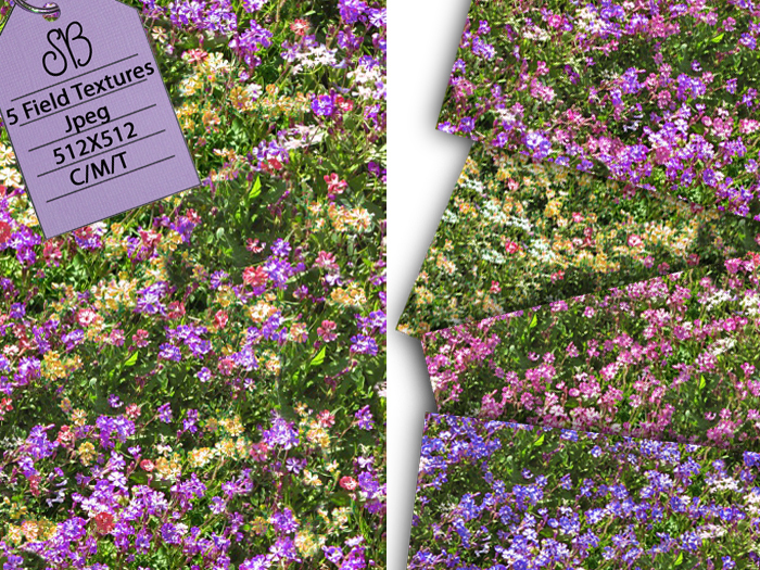 SB 5 SEAMLESS FLOWER FIELD TEXTURES
