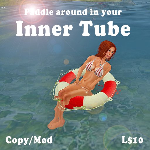 Steerable Inner Tube (Vehicle)