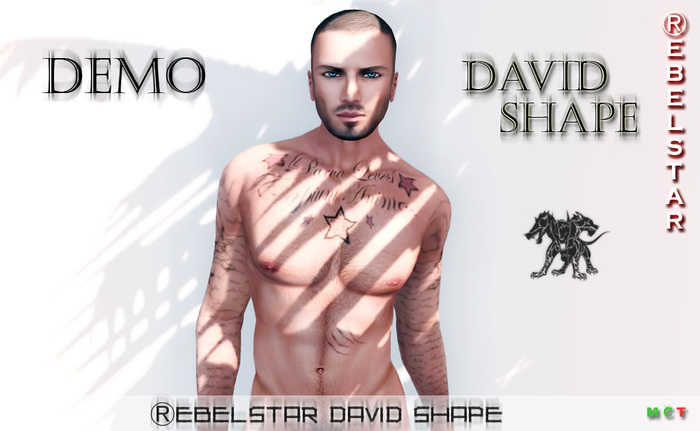 Rebelstar David Shape for RG DEMO