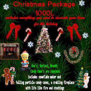 Christmas Package