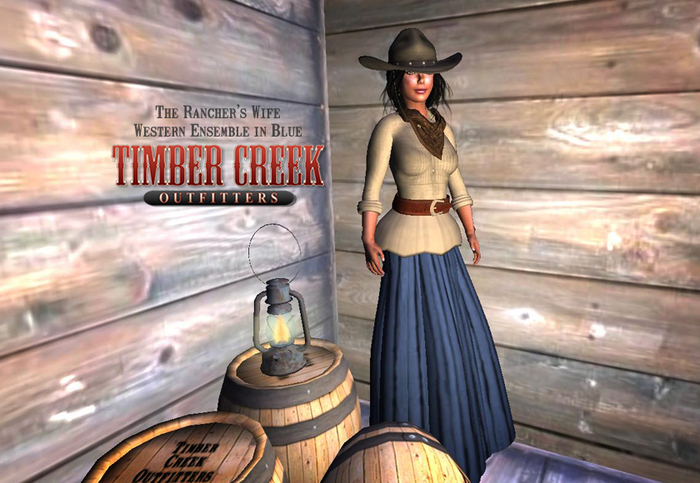 [Timber Creek] The Rancher's Wife Western Ensemble in Blue