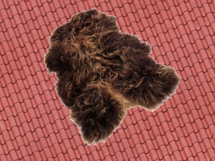 RUSTY BROWN SHEEPSKIN RUG
