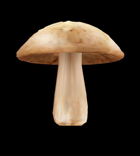 Mushroom full permission by Q