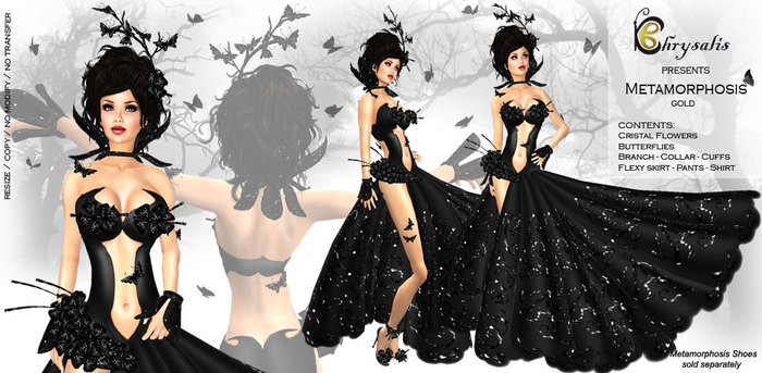 Chrysalis - Metamorphosis - black