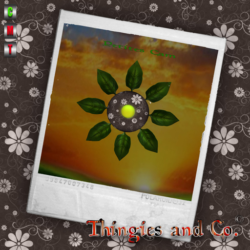 Petites Camera Hud by Thingies&Co.