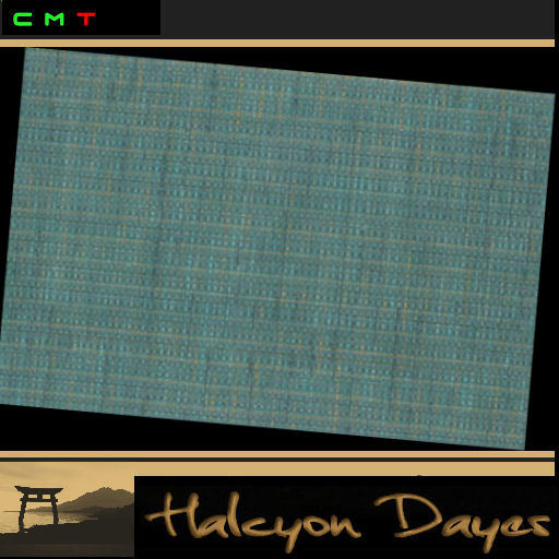 Area Rug- Teal 3