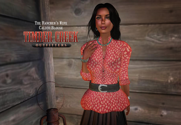 [Timber Creek] The Rancher's Wife Calico Blouse