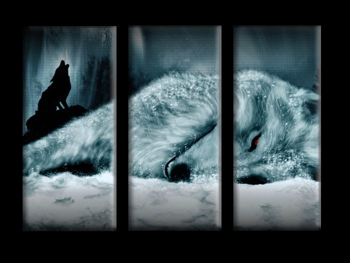 ~Alira~ White Wolf