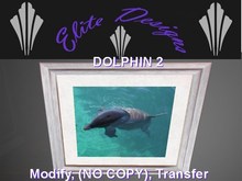~~ Elite Designs Presents "Dolphin 2" Wall Art ~~