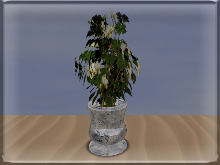 ::BnB:: Blue butterflies potted hibiscus