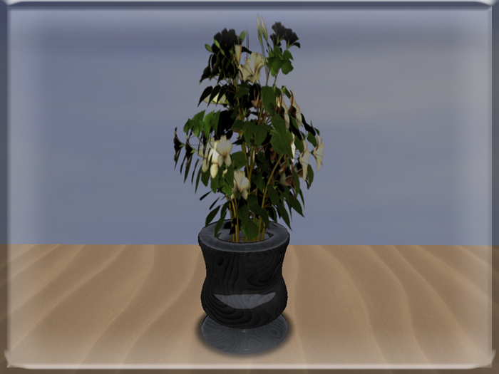 ::BnB:: Black swirls potted hibiscus