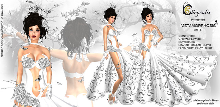 Chrysalis - Metamorphosis - white