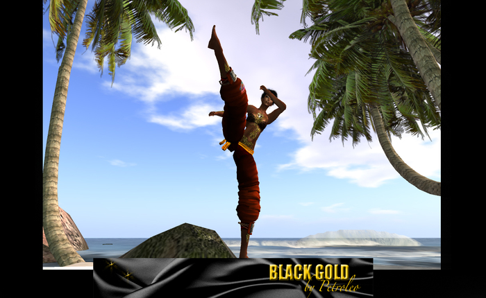 Capoeira Poses 10-Pack