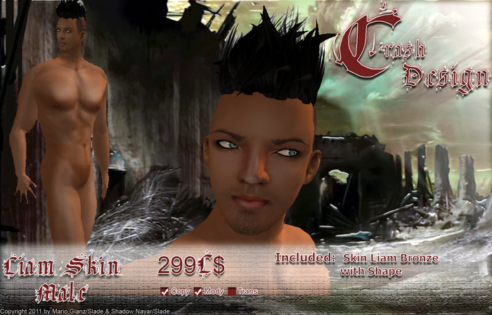 Crash Design  - Skin Liam 7